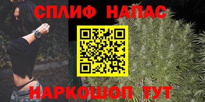 спайс Будённовск