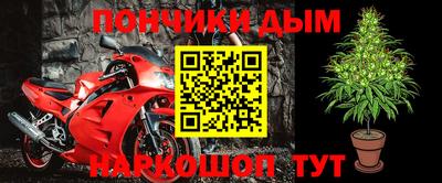 спайс Будённовск